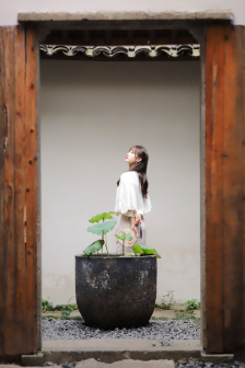 潘多拉2016